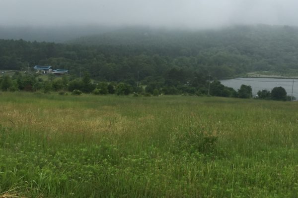朝霧ジャンボリーオートキャンプ場の全貌 各サイトの景色の紹介